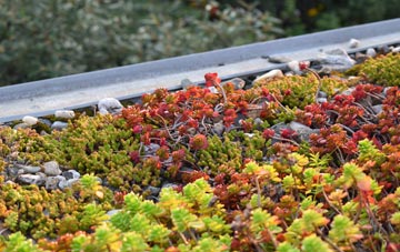 the cost of Haylands green roof installation
