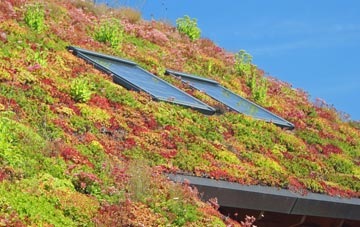 Haylands living roof systems