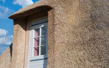 Haylands thatch roof disadvantages